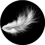 Ғалымжан Ж.