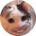 Жұлдызай Ч.