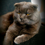 Валентина С.