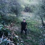 Ип нурбол и компания