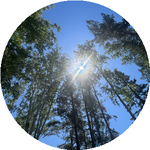 Бақдәулет Р.