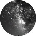 Светлана С.