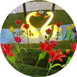 Жулдызай Т.