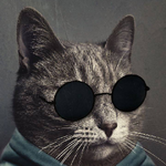 Жалгас Ж.