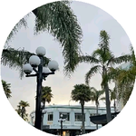 Айжарқын А.