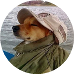 Дильназ А.