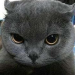 Әлишер Е.
