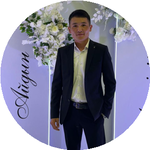 Нұрдаулет Н.