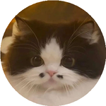 Нурболат Р.