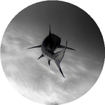 Нұрсұлтан Т.