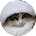 Анастасия А.