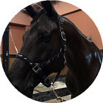 Гүлнәзік Ү.