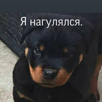 Давид Ф.