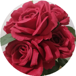 Нурсауле К.