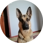 Владимир Б.