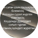 Койлыкыз М.