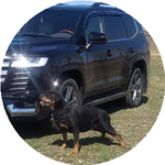 Екатерина Ф.