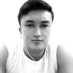 Нұрсұлтан Ә.