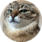 Светлана Б.