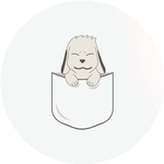 Бауыржан С.