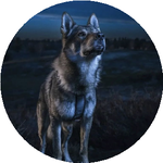 Владимир В.