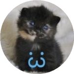 Елизавета Х.