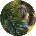 Елизавета К.