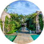 Салтанат Т.