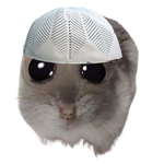 Рауан М.