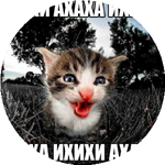 Алиса Т.