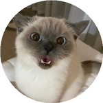 Кристиан Б.