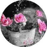 Биби-Ханум М.