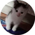 Гульзира А.