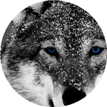 Гарифулла А.