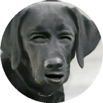 Эльдар С.