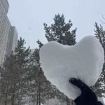 Айым Р.