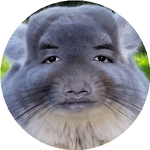 Нұржан А.