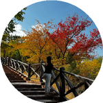 Александра Ю.