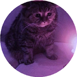 Анастасия С.