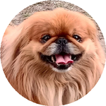 Александр К.