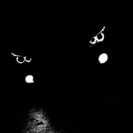 Қанат Қ.