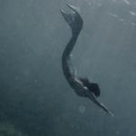 Жанбота А. (OUTFIT)