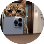 Нұрдаулет А.