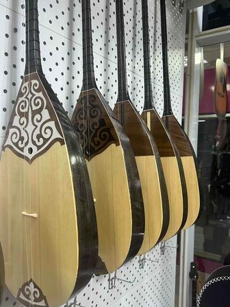 Кәсіби домбыралар