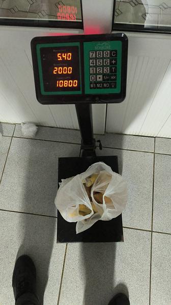 Куры домашние