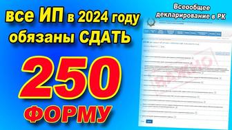 Сдача декларации форма 250