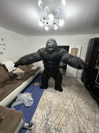 Поздравления на праздники/ корпоративы в костюме гориллы