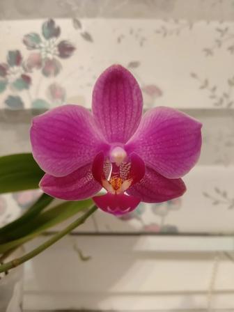 Корректура текстов на русском языке. Редактирование.