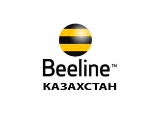 Добавлю в тариф Beeline