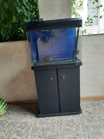 продам аквариум красивый